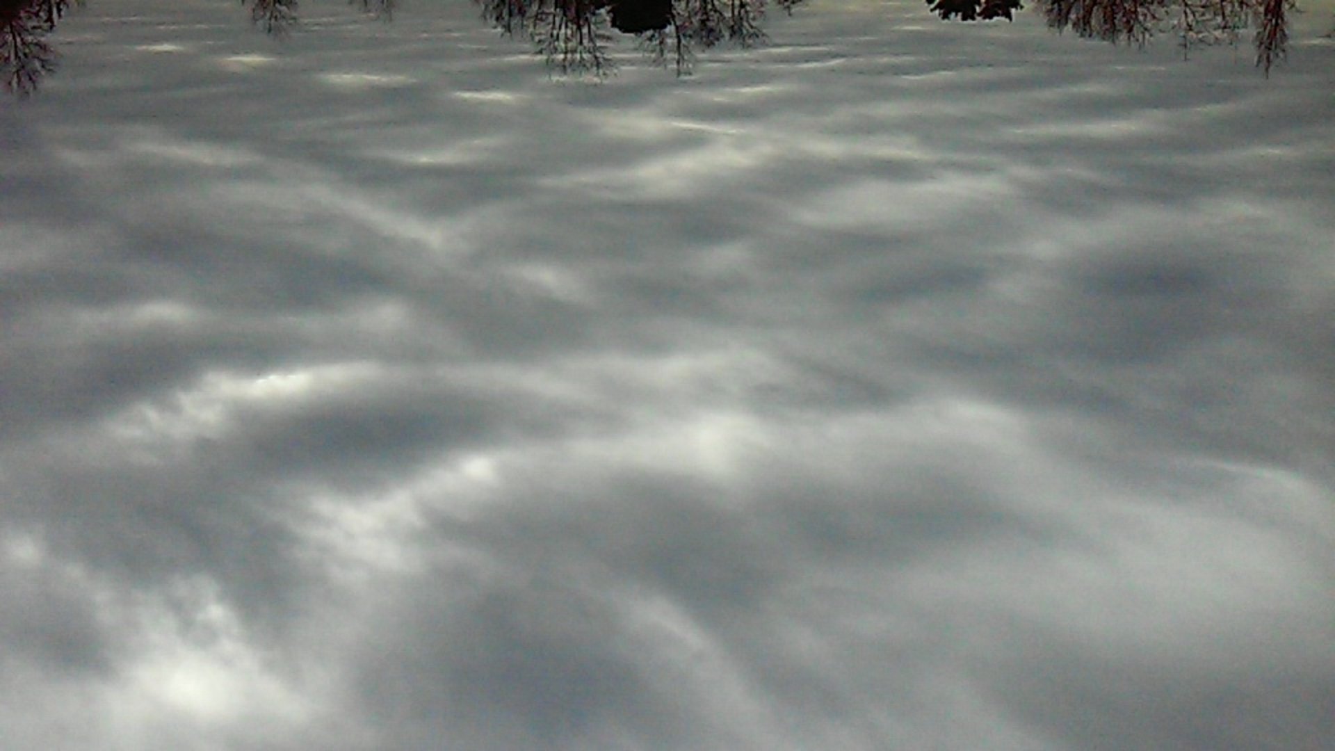 Kaii_Ki Offline Background