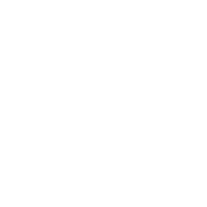 Skiinet_