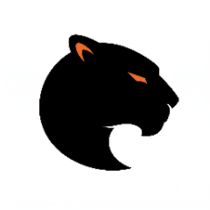 JaguarN1