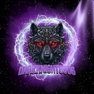 darkknight8906