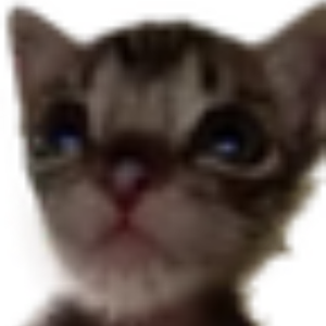 GabyRanma
