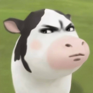 zonyqt