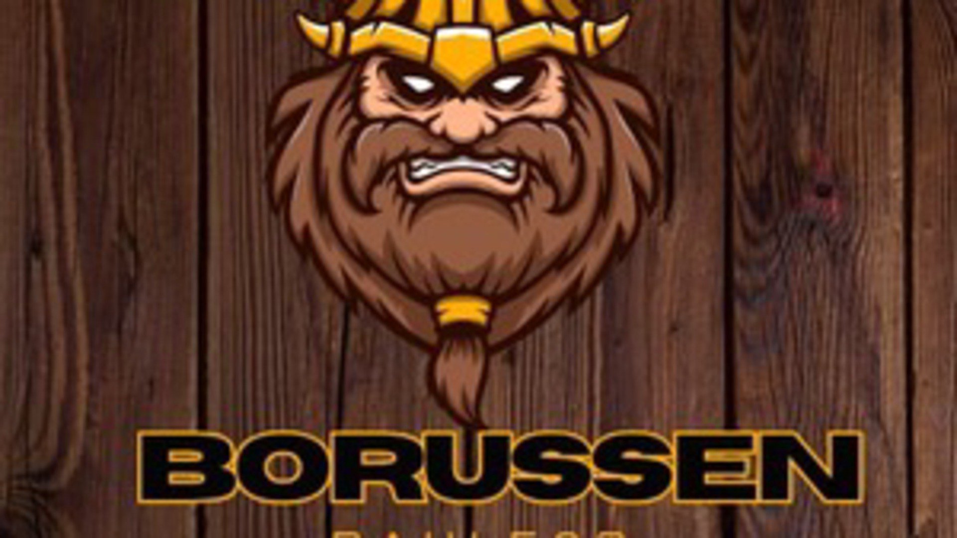 borussenpaule09 Offline Background