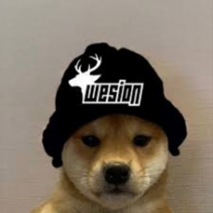forwesion