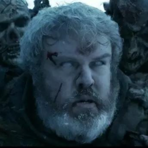kotn_hodor