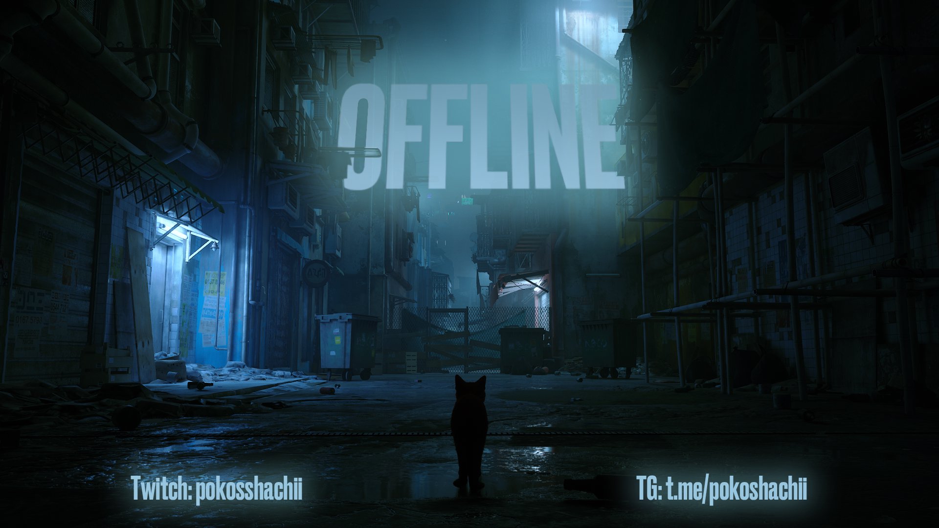 pokosshachii Offline Background