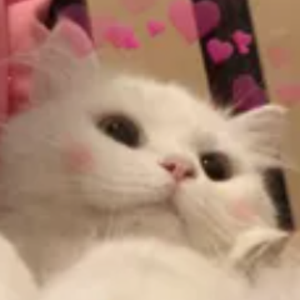 peachuro