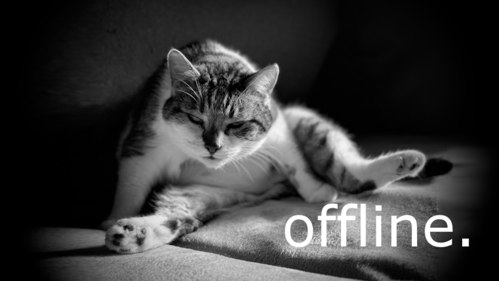 Reidie_ Offline Background