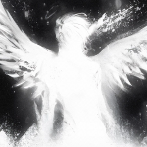 niightwhiteangel