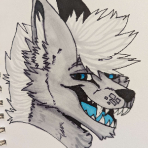 MrMetalWolfer