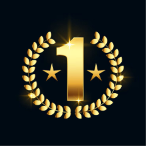 we1stplacewinner