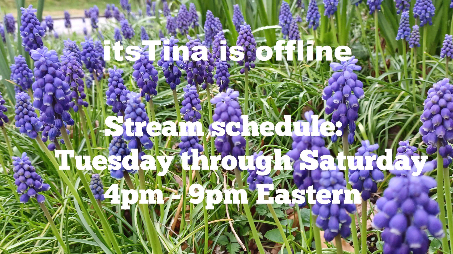 itsTina Offline Background