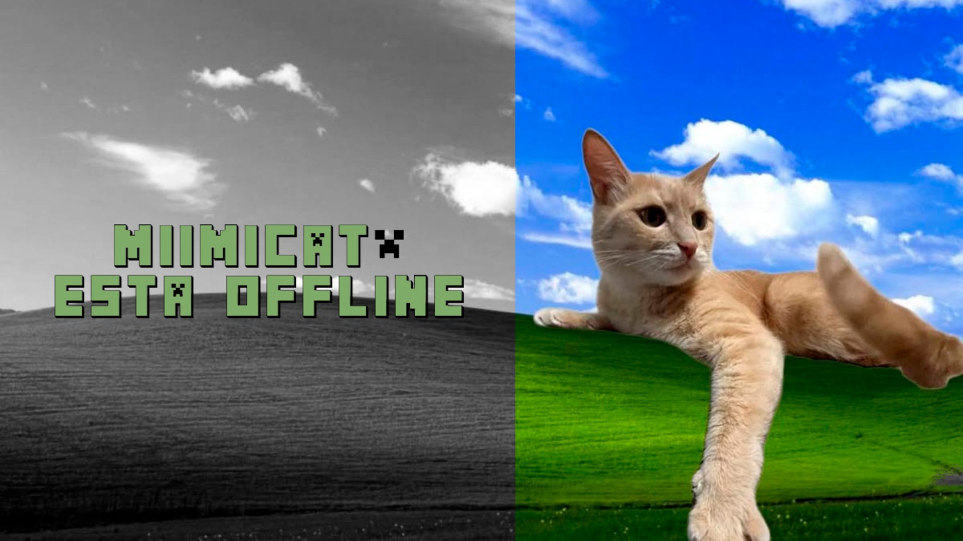 miimicat_ Offline Background