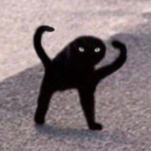 KobraKllr