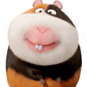 zongzix