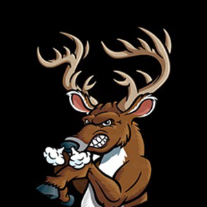 bilthedeer