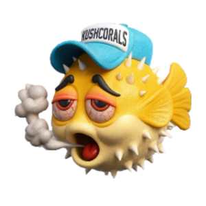 KushCorals