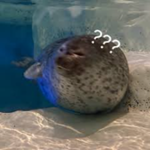 兇猛海豹