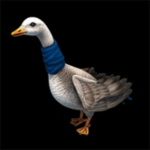 klnek_AoE