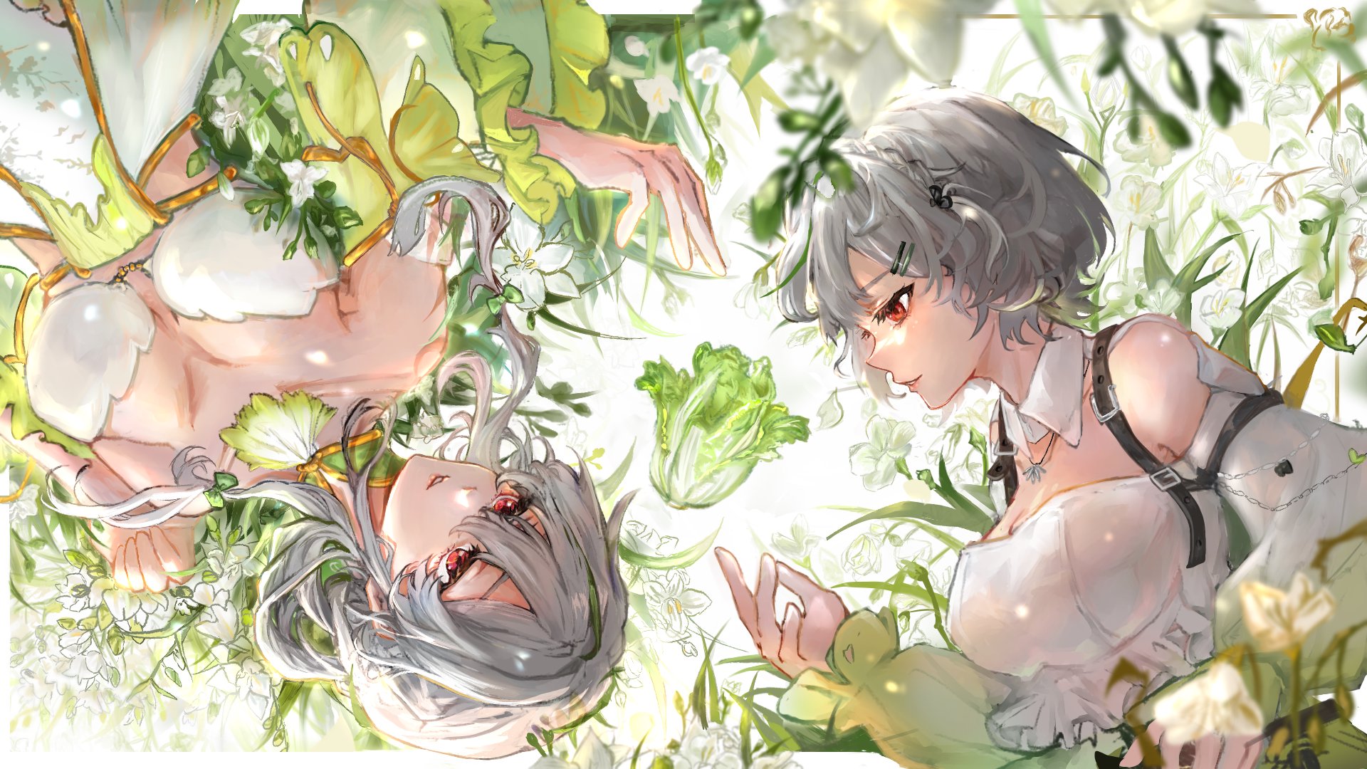 白菜菜菜子 Offline Background