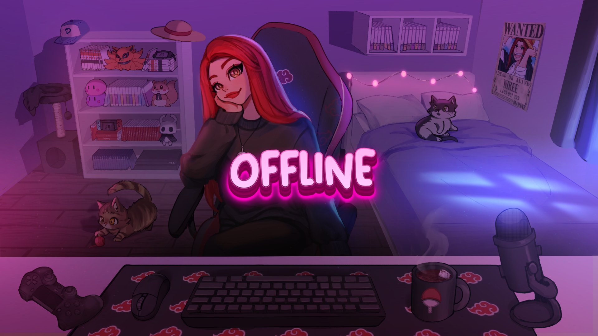 NireeTV Offline Background