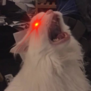 Paulsicle