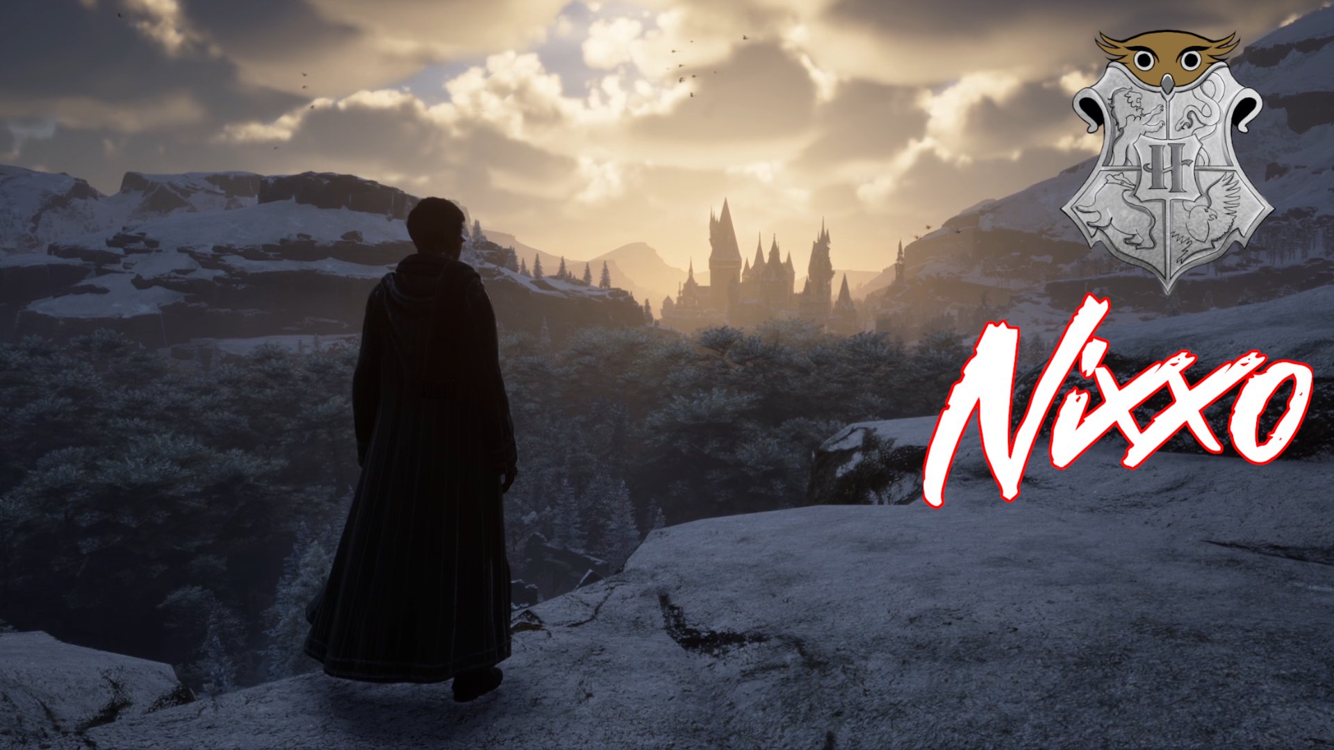 Nixxo Offline Background