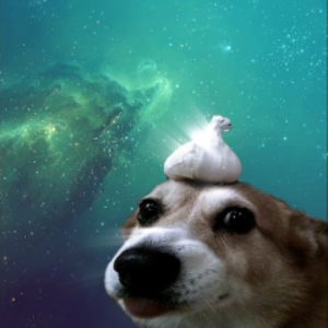 尬滋