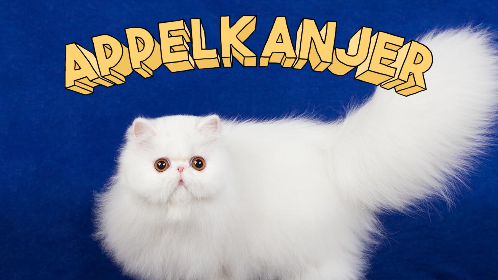 Appelkanjer Offline Background