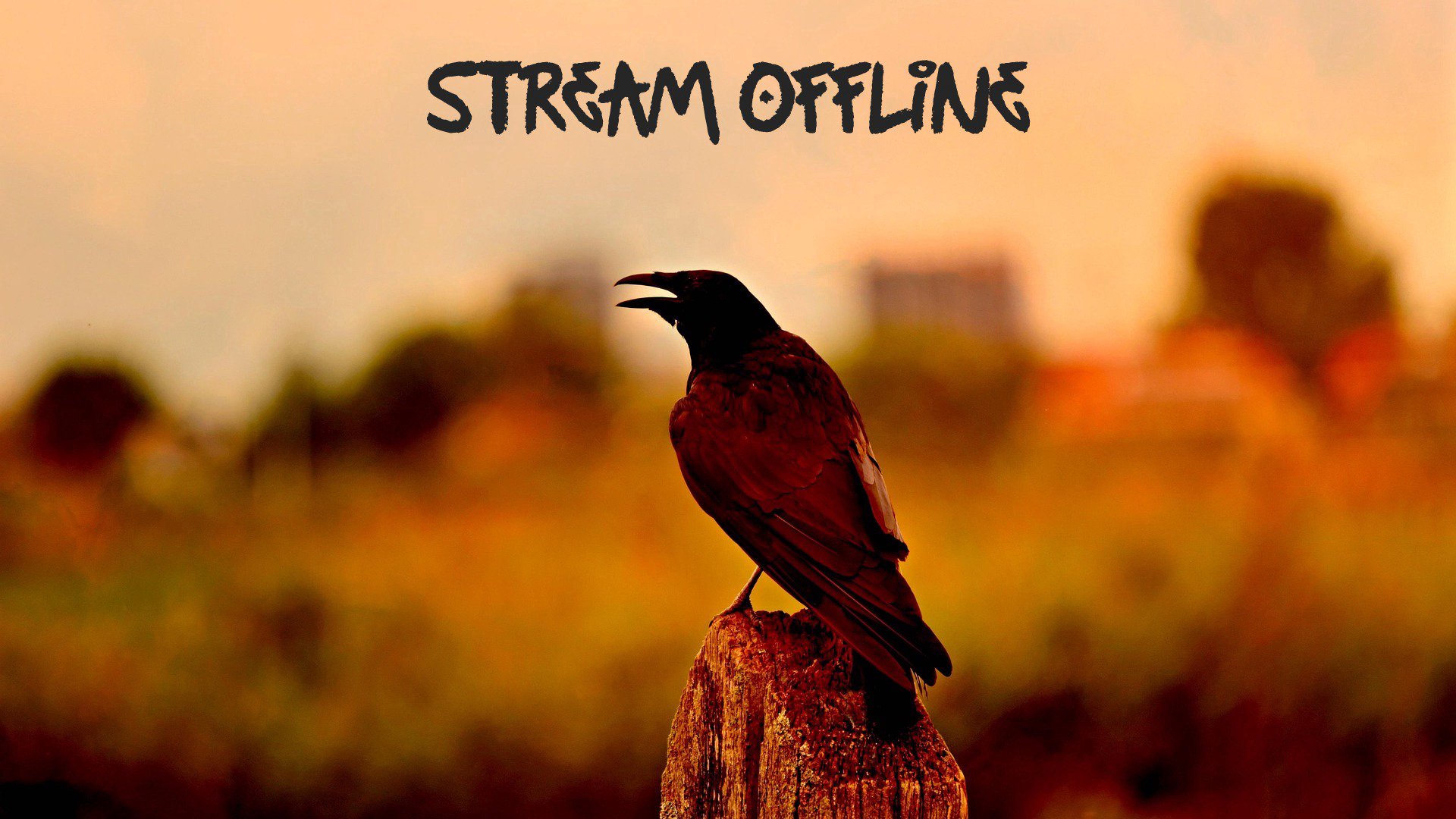 neon_br0wn Offline Background