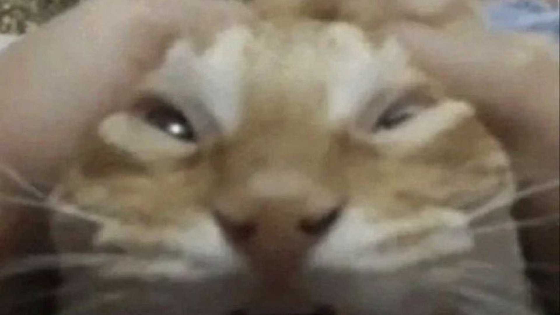 SwolesJoels Offline Background