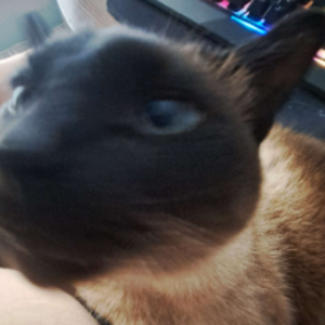 Ignazoz