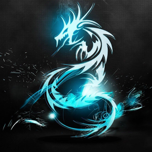 timid____
