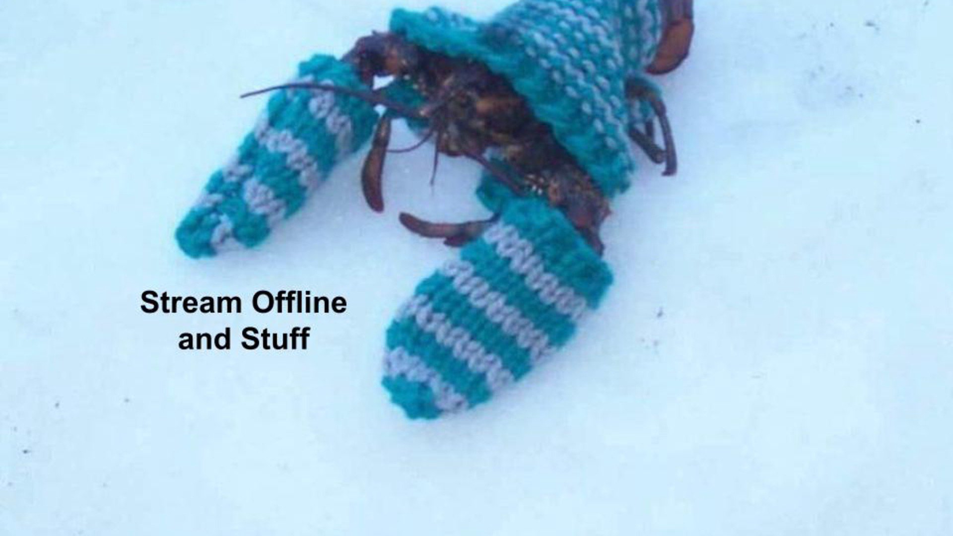 Half_Amp Offline Background
