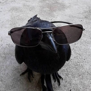 LxstCrow