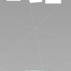zubik281