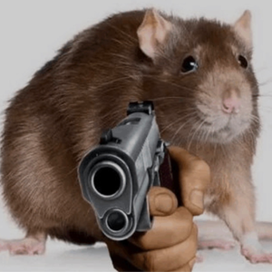 ratthescav