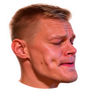 huolibois