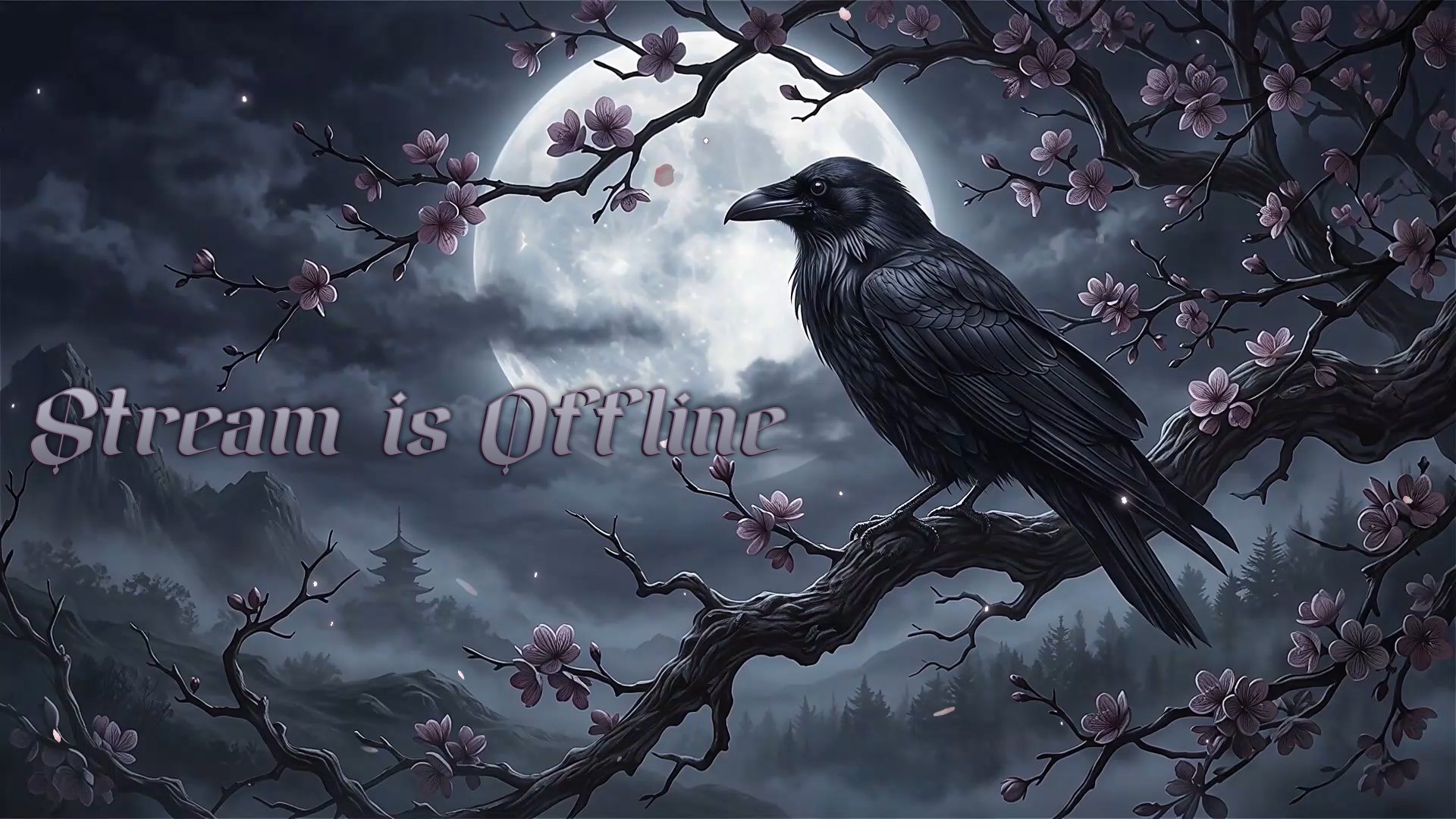 JustLady_ Offline Background