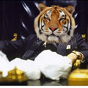 LSUstacker