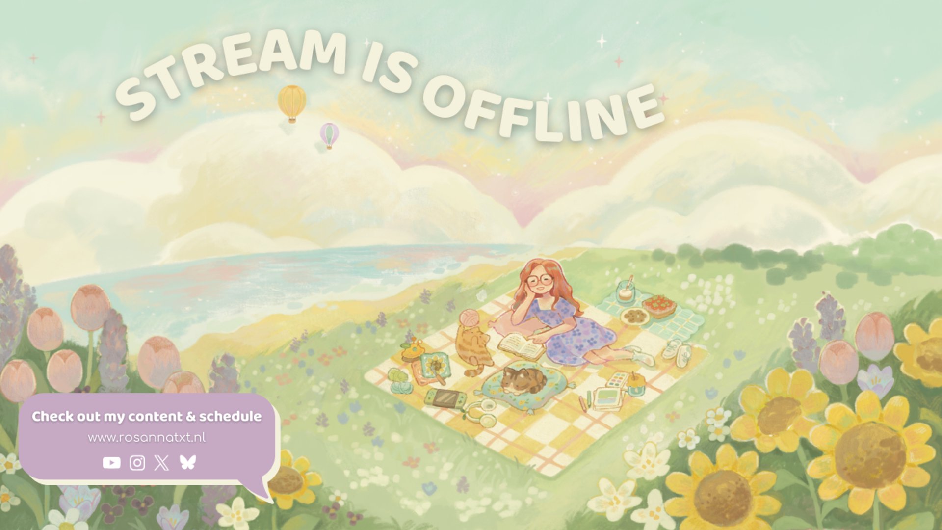 Rosannatxt Offline Background