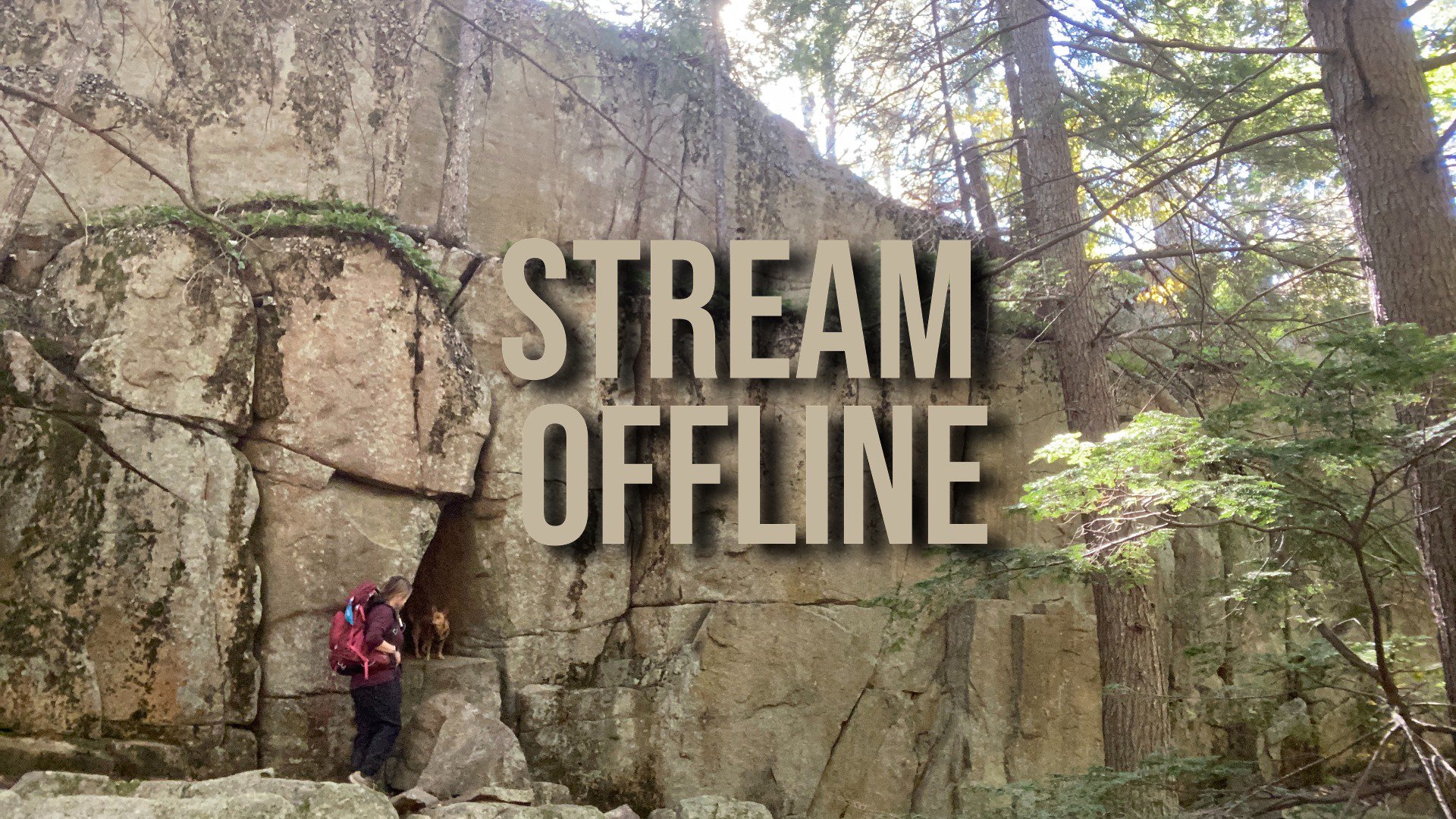 lcweins Offline Background