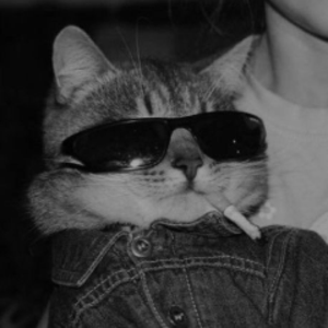 1pawle