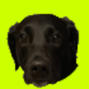 theincredulousk