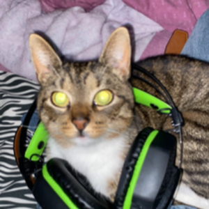 sammylenz