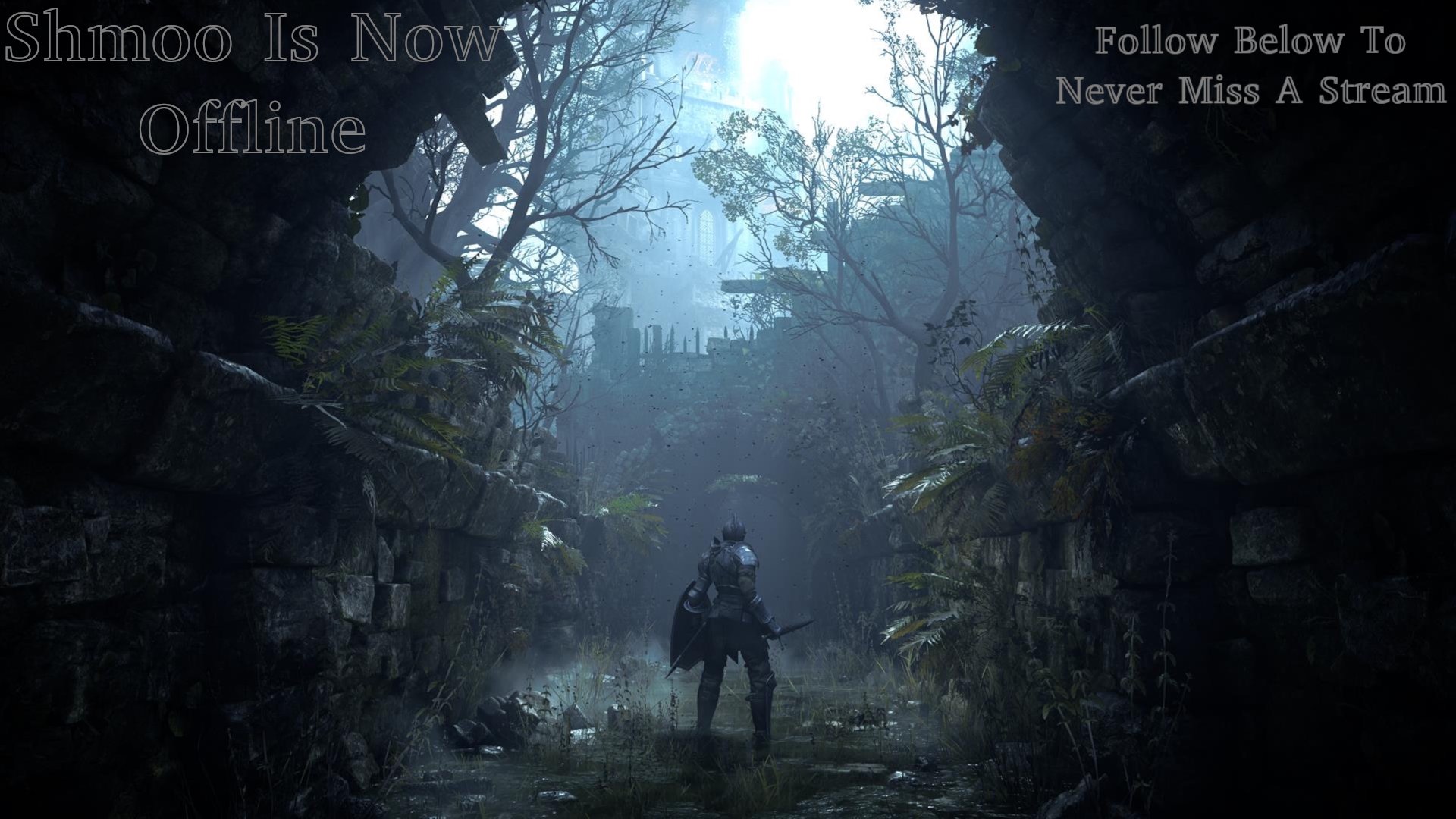 Shmooexe Offline Background