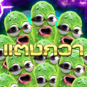 ytno1