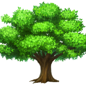 Oakishi