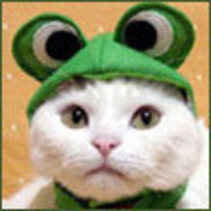 Carpenterr Offline Background