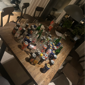 slotskungen